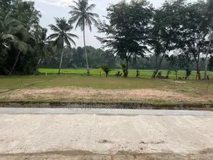 Minuwangoda Land for Sale ( Paddy Field Front )