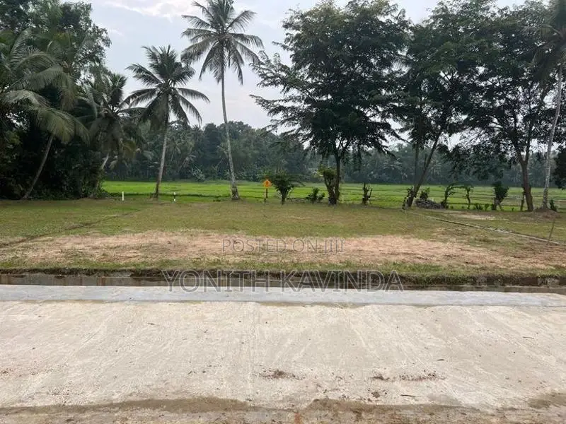 Minuwangoda Land for Sale ( Paddy Field Front )