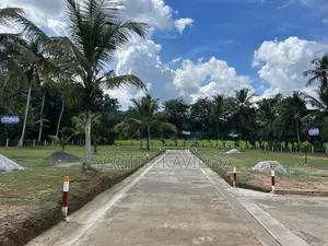 Minuwangoda Land for Sale ( Paddy Field Front )