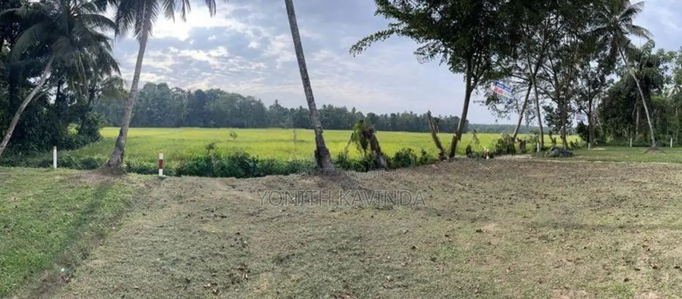 Minuwangoda Land for Sale ( Paddy Field Front )