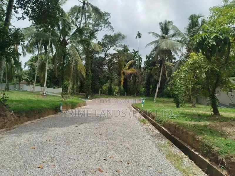 හෝමාගම බිම් කොටස් විකිණීමට