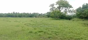 Land for Sale in Poonagari, Thambirai