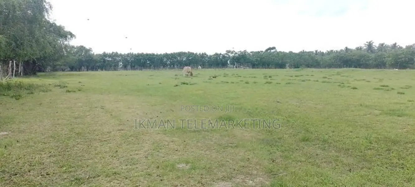 Land for Sale in Poonagari, Thambirai