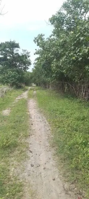 Land for Sale in Poonagari, Thambirai