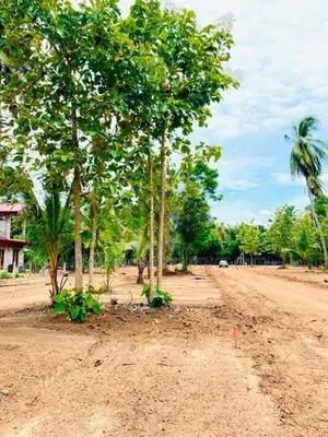 Land for Sale in Anuradapura