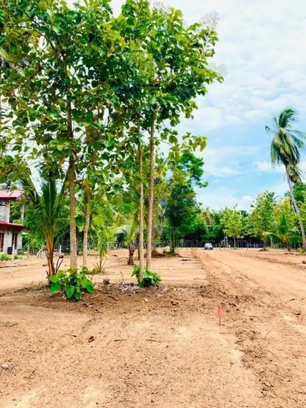 Land for Sale in Anuradapura