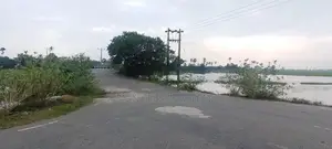 Land for Sale in Poonagari, Thambirai