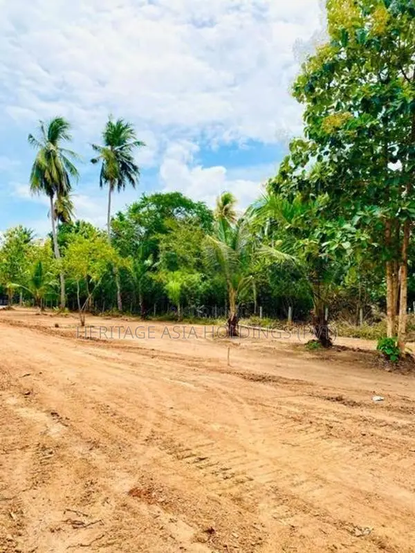 Land for Sale in Anuradapura