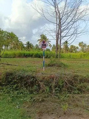 නාරම්මල ඉඩමක් විකිණීමට