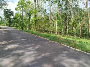 හෝමාගම හොරගල බස් පාරෙන් බිම් කොටස් විකිණීමට