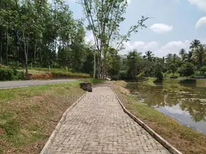 හෝමාගම හොරගල බස් පාරෙන් බිම් කොටස් විකිණීමට