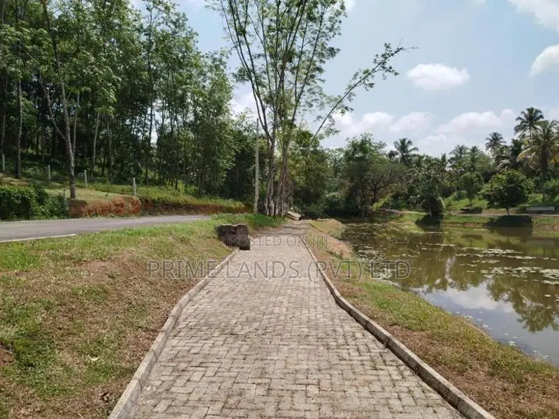 හෝමාගම හොරගල බස් පාරෙන් බිම් කොටස් විකිණීමට