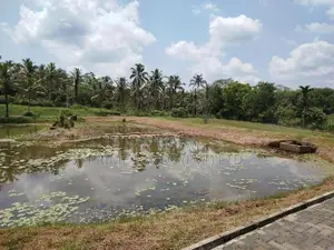 හෝමාගම හොරගල බස් පාරෙන් බිම් කොටස් විකිණීමට