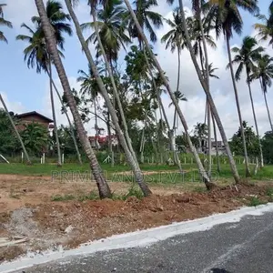කුරුණෑගල පැල්ලන්දෙනිය ඉඩමක් විකිණීමට
