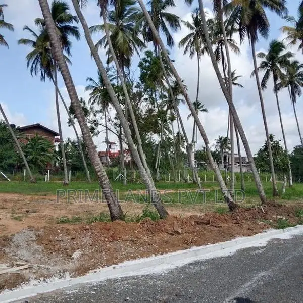 කුරුණෑගල පැල්ලන්දෙනිය ඉඩමක් විකිණීමට