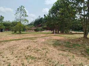 තලගල බෙරුකැටිය බිම් කොටස් විකිණීමට
