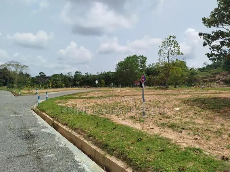තලගල බෙරුකැටිය බිම් කොටස් විකිණීමට
