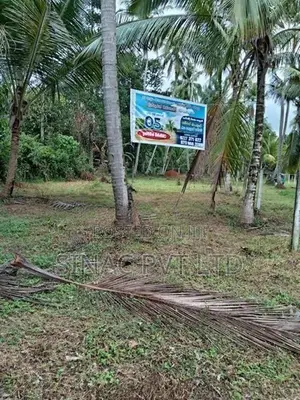 දිවුලපිටිය – වරදල ක්‍රිස්තුරාජ මාවතෙන් සුපිරි බිම් කොටස්