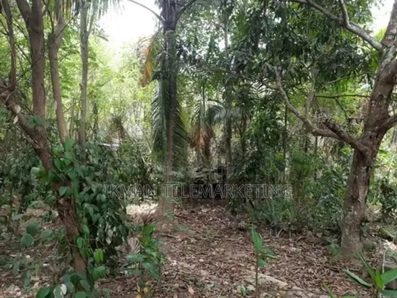 House with Land for Sale in Bibile