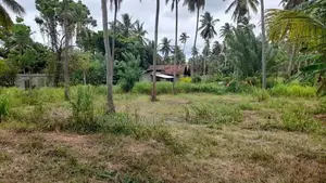 පර්චස් 16ක බිම් කොටස් විකිණීමට Bunnehepola