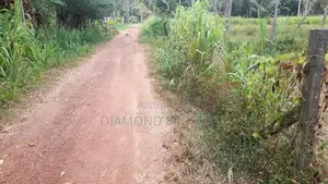 පර්චස් 16ක බිම් කොටස් විකිණීමට Bunnehepola