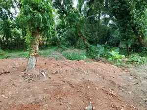 Prime 32-Perch Residential Land for Sale in Ihalagama, Gampaha
