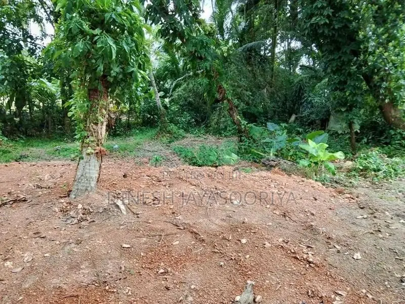 Prime 32-Perch Residential Land for Sale in Ihalagama, Gampaha