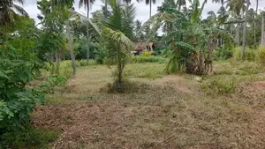 පර්චස් 16ක බිම් කොටස් විකිණීමට Bunnehepola