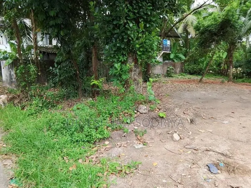 Prime 32-Perch Residential Land for Sale in Ihalagama, Gampaha