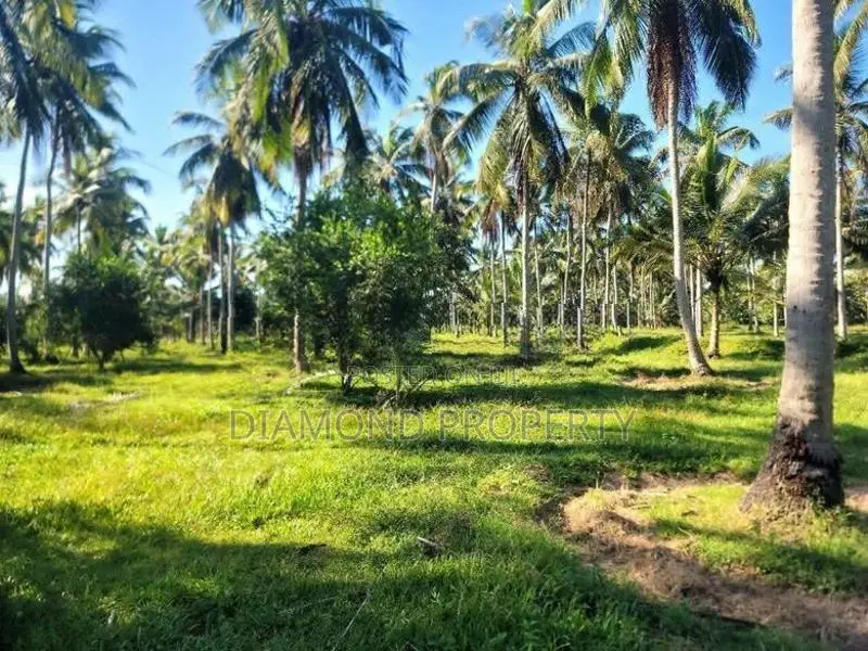 14 Acres Coconut Land For Sale In Wathuwatta.