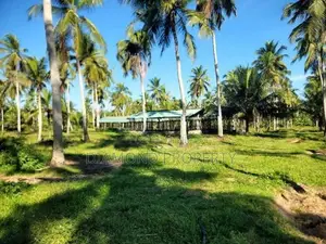 14 Acres Coconut Land For Sale In Wathuwatta.