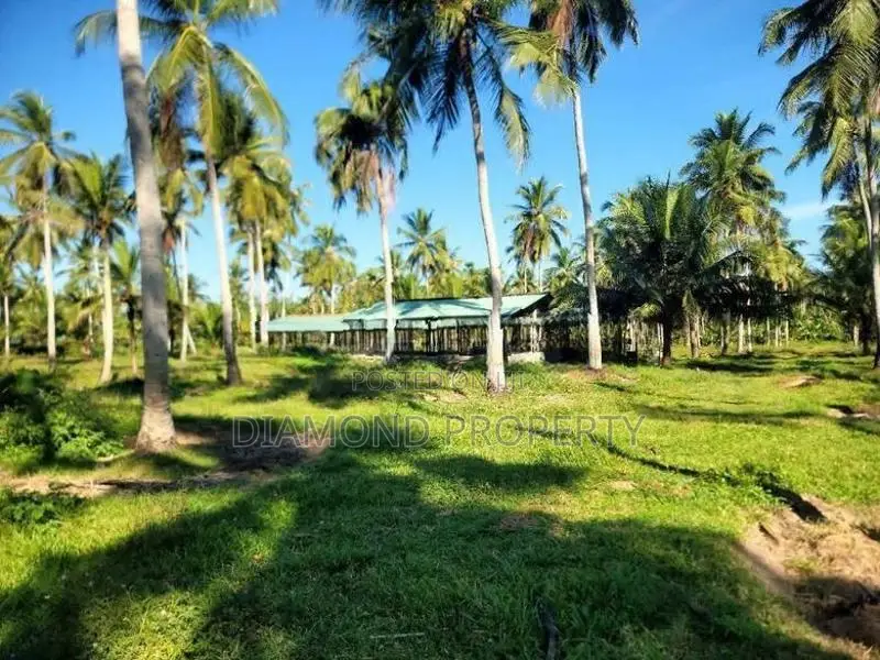 14 Acres Coconut Land For Sale In Wathuwatta.