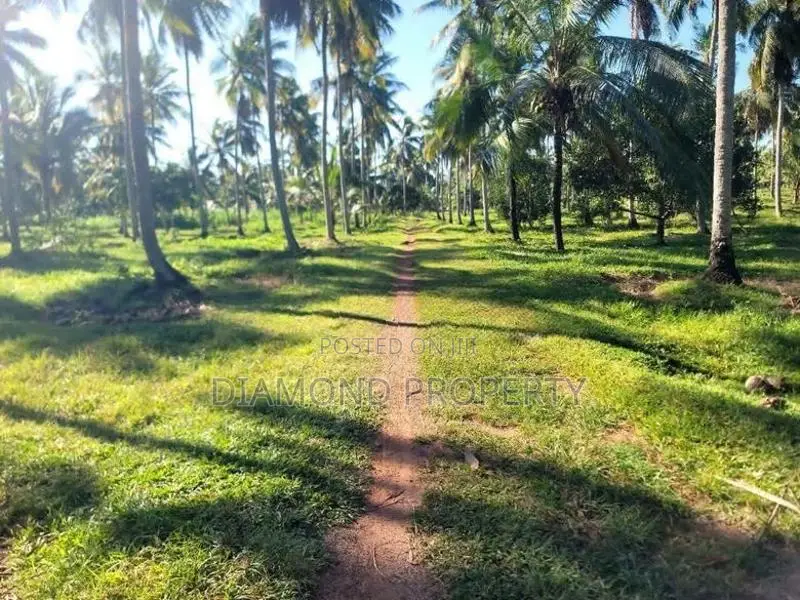14 Acres Coconut Land For Sale In Wathuwatta.
