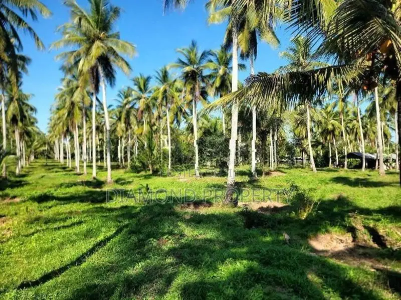 14 Acres Coconut Land For Sale In Wathuwatta.