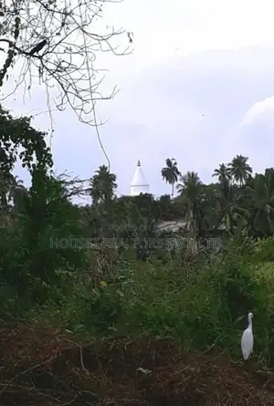 23.6-Perch Land for Sale – Tissamaharama