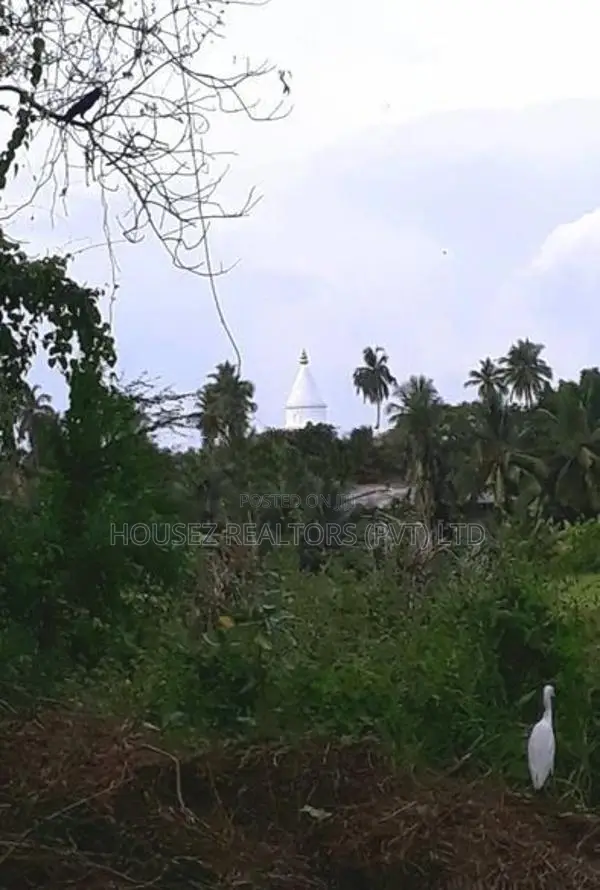 23.6-Perch Land for Sale – Tissamaharama