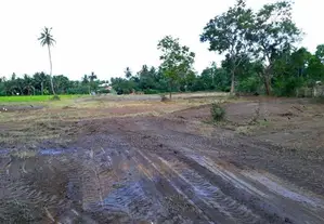 23.6-Perch Land for Sale – Tissamaharama
