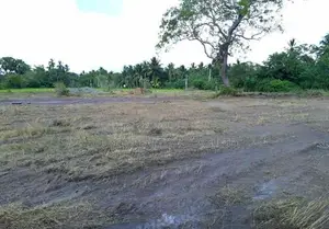 23.6-Perch Land for Sale – Tissamaharama