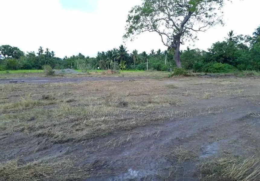 23.6-Perch Land for Sale – Tissamaharama