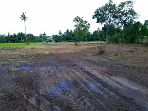 23.6-Perch Land for Sale – Tissamaharama