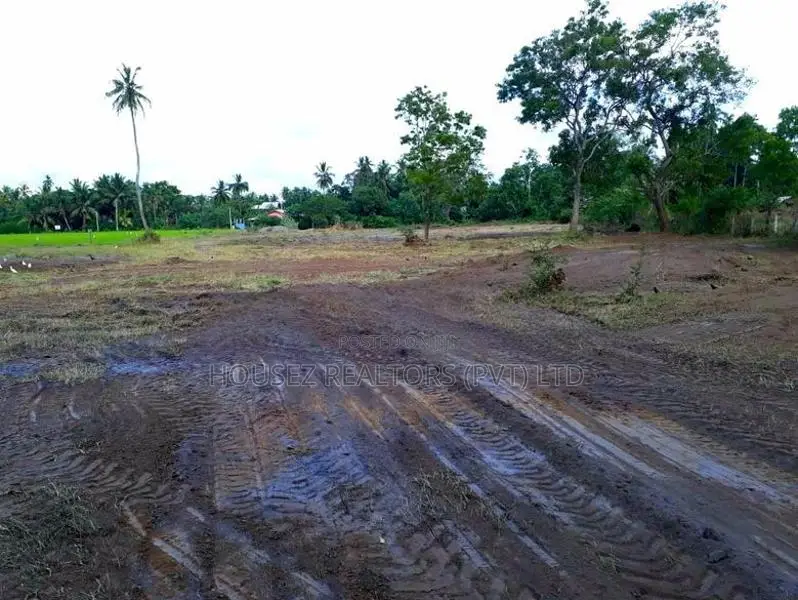 23.6-Perch Land for Sale – Tissamaharama