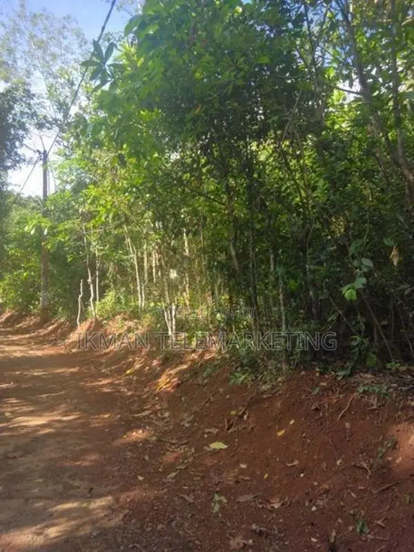 Land for Sale in Daswatte