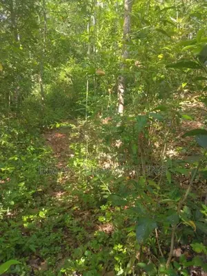 Land for Sale in Daswatte