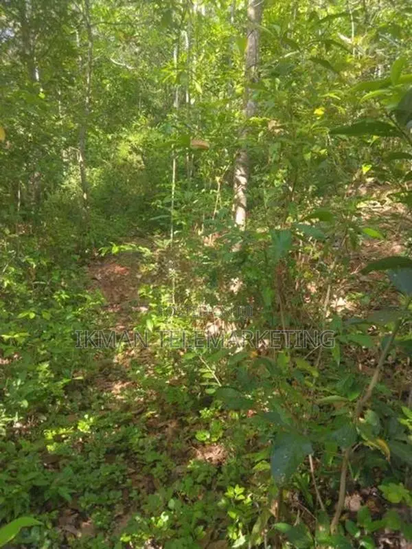 Land for Sale in Daswatte