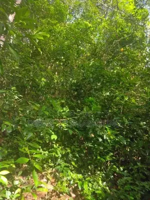Land for Sale in Daswatte