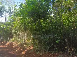 Land for Sale in Daswatte