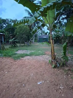 10-Perch Residential Land for Sale – Kandana
