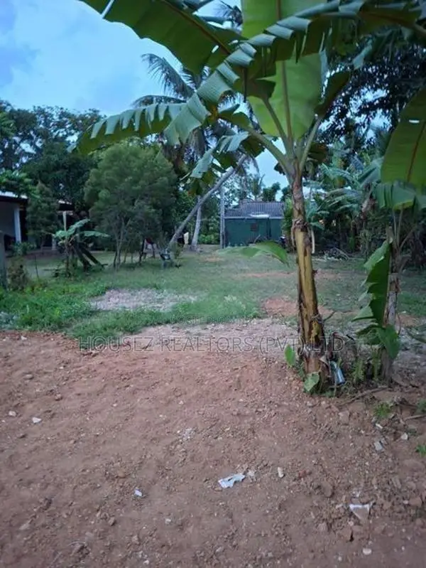 10-Perch Residential Land for Sale – Kandana