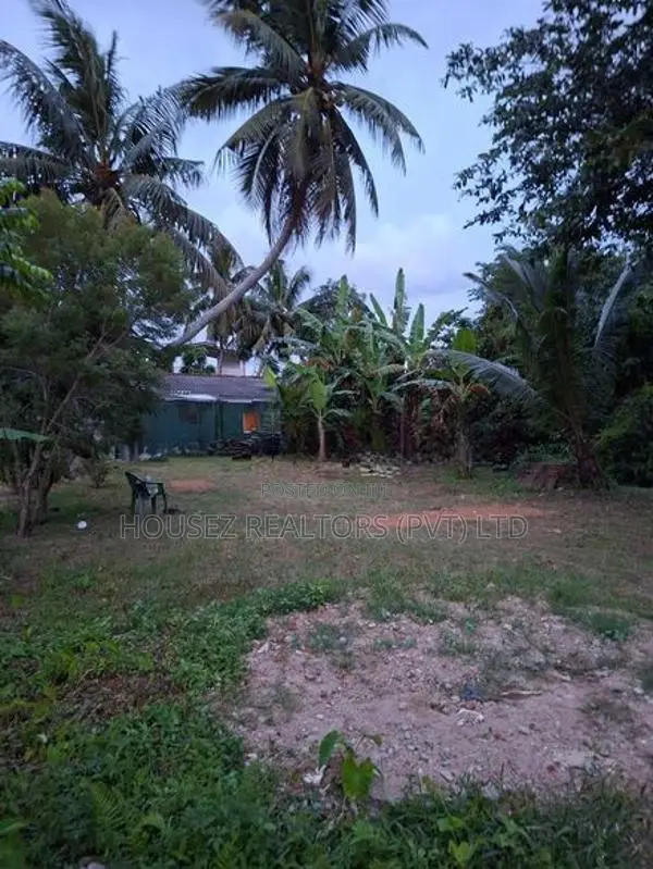 10-Perch Residential Land for Sale – Kandana