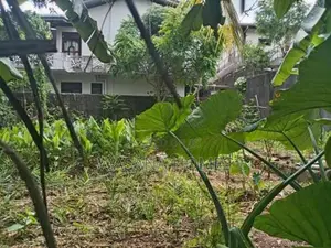 High Residential Land for Sale Talawathugoda